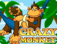 Crazy Monkey Pin-Up Games